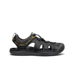 Men's SOLR Sandal  |  Black/Gold
